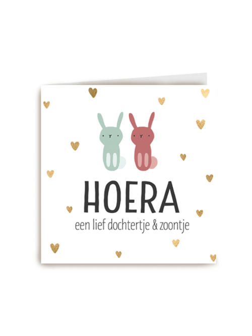geboorte meerling jongen meisje hoera dochter zoon