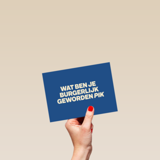And C wat ben je burgerlijk geworden pik