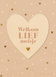 Geboortefelicitatie Welkom lief meisje