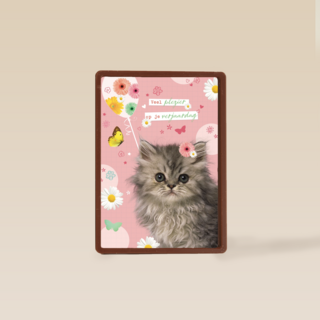 prodo dieren veel plezier op je verjaardag