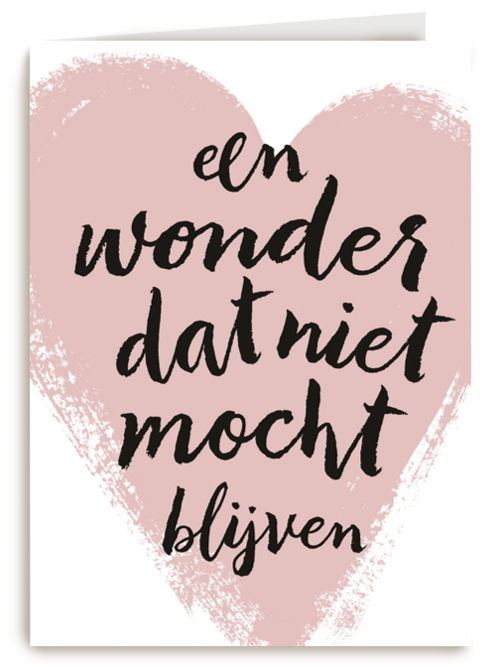 zwangerschap moeilijke momenten een wonder dat niet mocht blijven