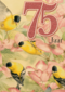 verjaardag leeftijden marjolein bastin 75