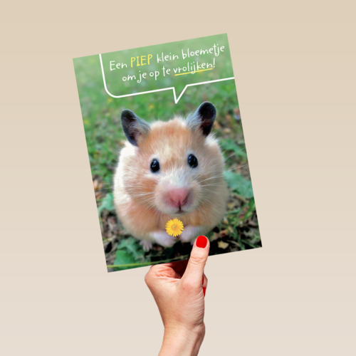 een piepklein bloemetje voor jou