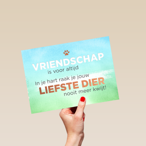 in je hart raak je je liefste dier nooit meer kwijt