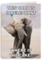 verjaardag kaart grappig this card is irrelephant