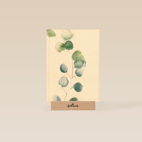 blanco condoleancekaart met plant