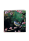 ombouw vogeltje op tak