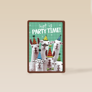 het is partytime met deze lamas