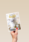 kerstknuffel van een kitten