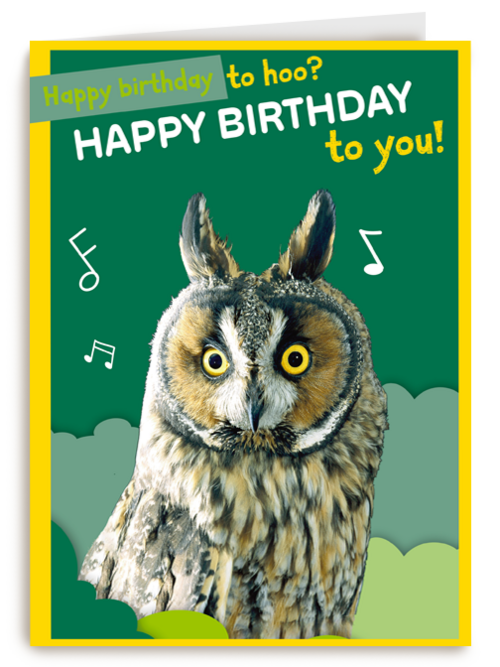 Happy Birthday to hoo