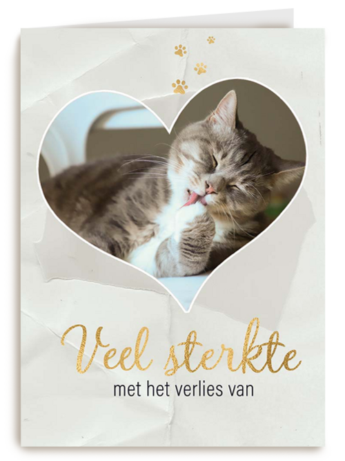 Fotokaart veel sterkte met verlies kat