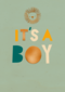Leeuw it is a boy