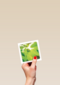 flash groen blad