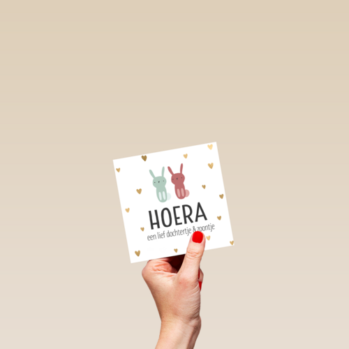 geboorte meerling jongen meisje hoera dochter zoon