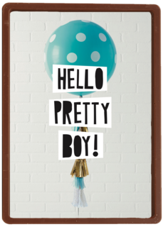 geboorte zoon hello pretty boy