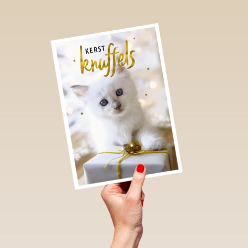 kerstknuffel van een kitten