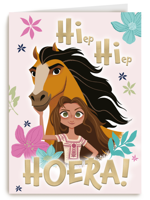 hiep hiep hoera spirit verjaardagskaart