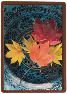 herfst kaart herfstbladeren