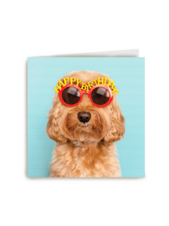 Verjaardagskaart hond met zonnebril