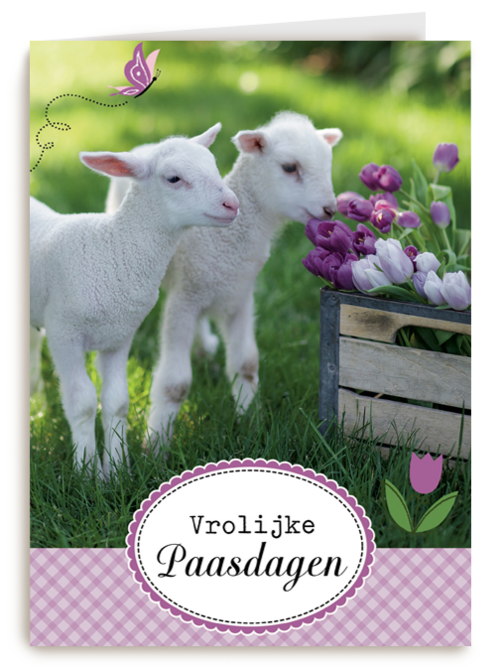 lammetje bloem pasen