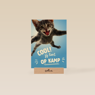 Cool Jij Bent Op Kamp Kat