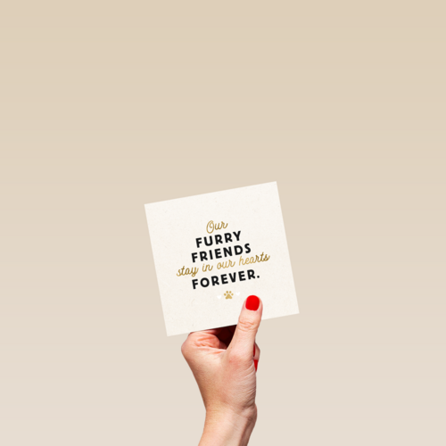 our furry friends stay in our hearts forever