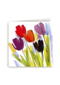 Chromazone Tulpen