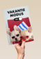 vakantiemodus aan staykation