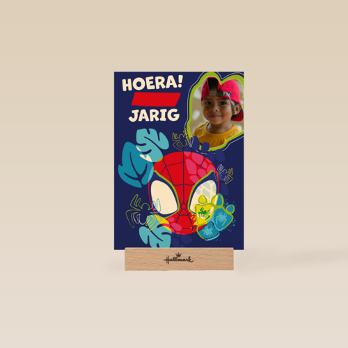 Spidey and friends Verjaardagskaart