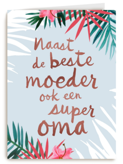 naast de beste moeder ook een superoma