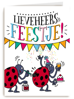 verjaardagskaart lieveheersfeestje