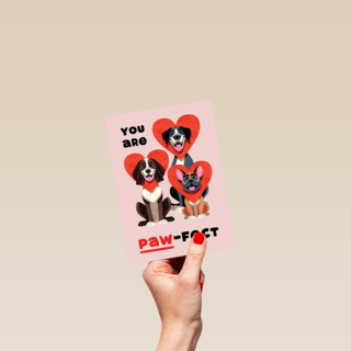 Folio You Are Pawfect