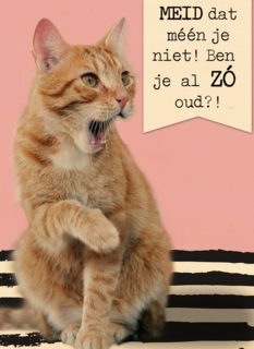 meid dat meen je toch niet