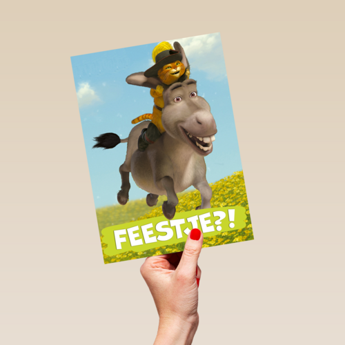 shrek feestje met donkey en puss in boots