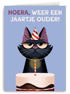 Verjaardagskaart Grumpy Folio weer een jaartje ouder lila