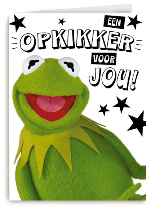 Beterschapskaart Kermit Een opkikker voor jou