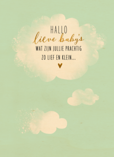 babykaart meerling hallo lieve babys groene achtergrond