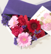 Brievenbusbloemen Roze Paars Mix