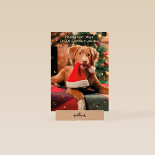 Kerstkaart klassiek Hond met kerstmuts