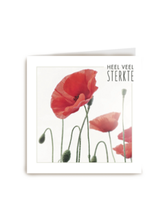 sterkte heel veel sterkte nu