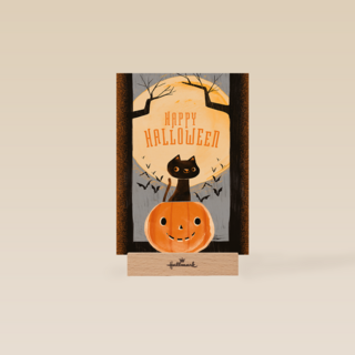 Happy Halloween Cat Pumpkin