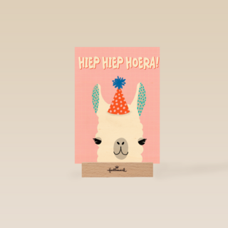 hiep hiep feestalpaca hoera