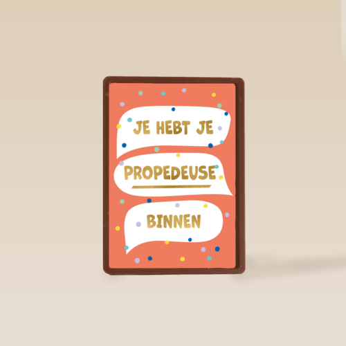 Je hebt je propedeuse binnen