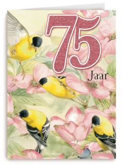 verjaardag leeftijden marjolein bastin 75