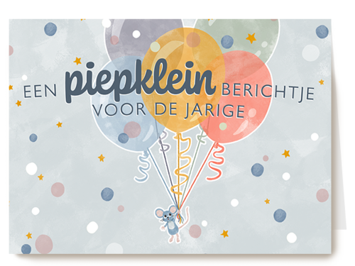 Verjaardagskaart Hallmark | Making Memories Piepklein Bericht Jarige