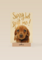 verjaardag te laat sorry het spijt me puppy