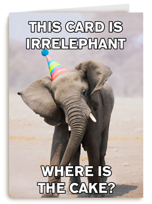 Verjaardagskaart Hallmark | Verjaardag Kaart Grappig This Card Is Irrelephant