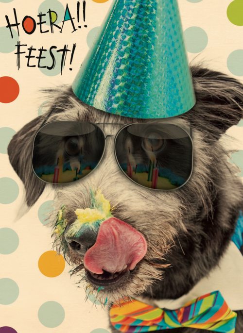 hoera feest hond met zonnebril