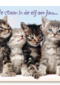 Kittens