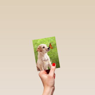 Pasen vrolijk hond vlinder